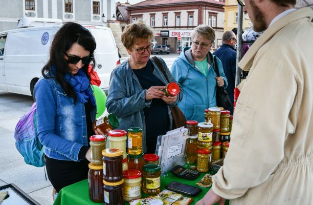 II Małopolski Dzień dla Klimatu